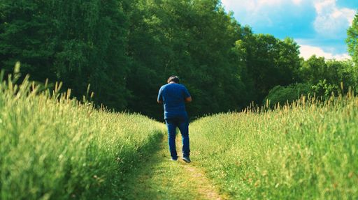 A back shot of a lone young male walking between lawn and plants on a sunny day