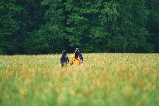 A back shot of girls walking in lawn and plants on a sunny day