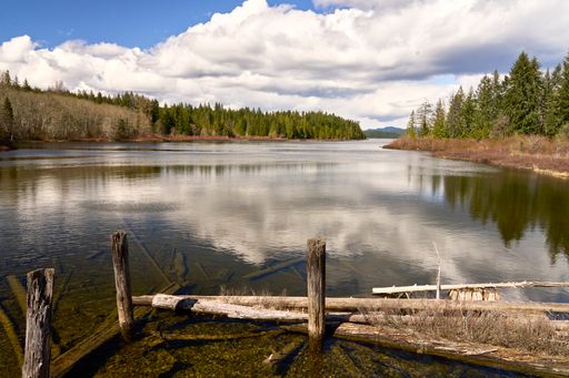 View of a beautiful lake on an overcast day with the pilings remains of an old historic logging railway bridge and a log jam and shoreline reflections
