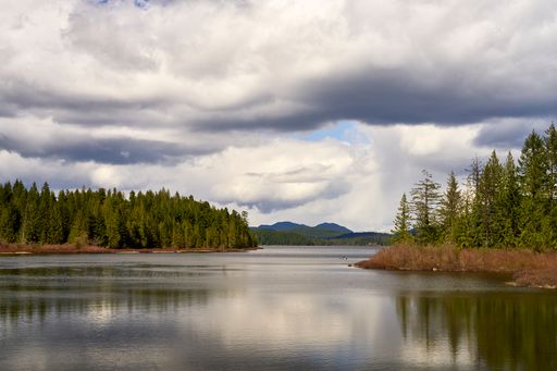 Looking down a tranquil calm lake with a shoreline of large evergreens and orange bushes to the distant mountains on a moody overcast day.