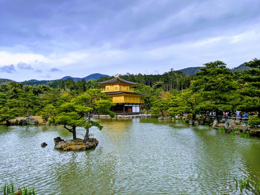 The beautiful view of Kinkaku-ji surrounded by lush greenery. Kyoto, Japan