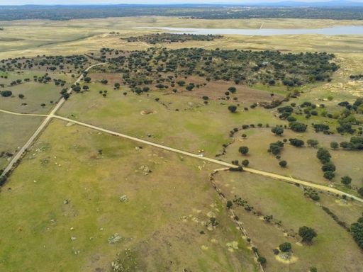 An aerial shot of a road in the middle of grassy fields in Salamanca, Spain