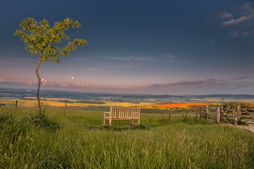 A beautiful landscape with a wooden bench near a tree in a field