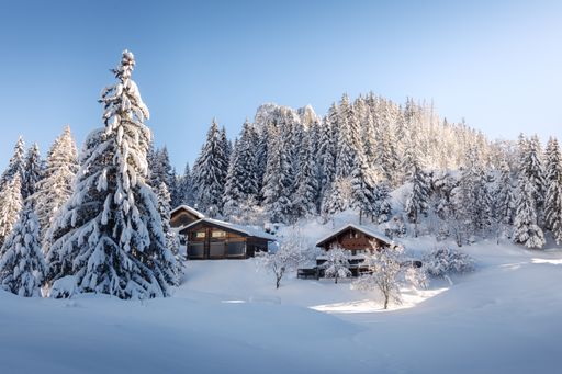 Winter view of typical Swiss chalets in the middle of a forest of fir trees covered by snow, with the sun rising and illuminating the scenery