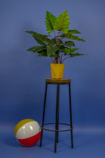 A potted plant and chair with orange ball on dark blue background