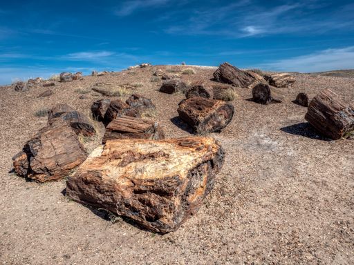 The Arizona Petrified Forest and the eroding badlands of the Painted Desert