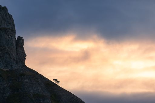Landscape view of a lonely tree shape on a rock formation at sunrise with a dark sky covered with colored clouds