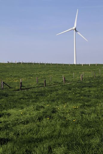 A vertical shot of a green field with wind turbine