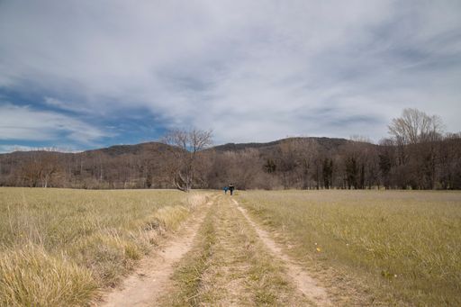A path winding through a meadow near trees, Vall den Bas valley in Catalonia