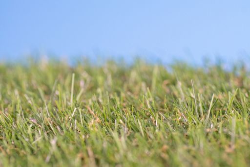 A clsoeup shot of a beautiful green, artificial grass and a blue sky background
