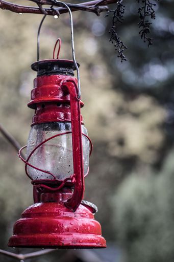 A vertical shot of an old red lantern hanging on a tree twig in the forest