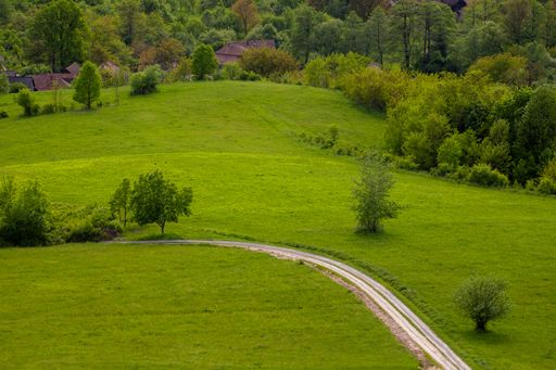 A dirt road through a clearing with trees and green grass in the countryside
