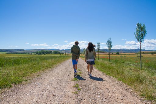 A beautiful couple walking through the road between the green fields in summer