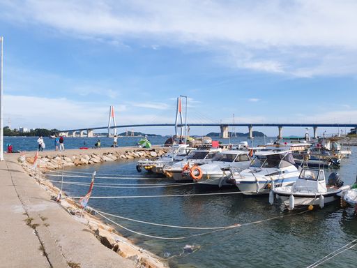 A marina with boats and a bridge in the background