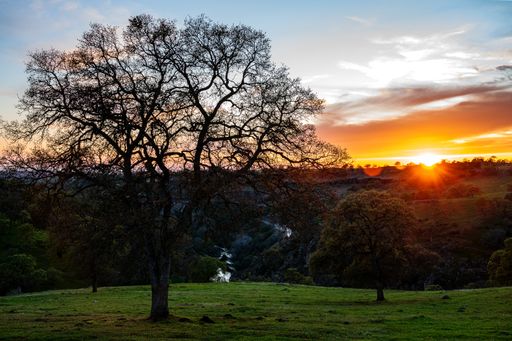 A breathtaking scenery of the sunset over the hills with a lot of trees in California