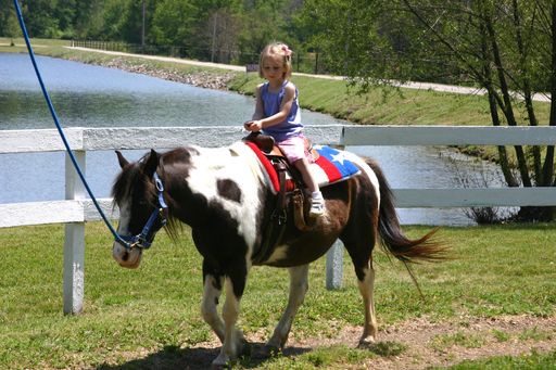 Little girl rides tame horse at picnic.