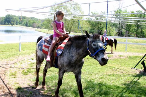 Little girl rides donkey at picnic.