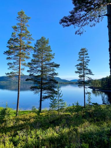 A scenic view of a lake with Alpine panorama in Norway
