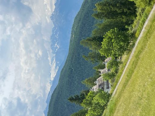 A vertical shot of rural houses in nature near the green pine forest on a sunny day