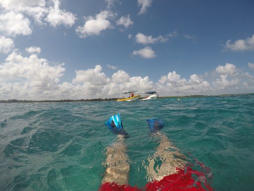 A diver wearing diving fins swimming in the ocean