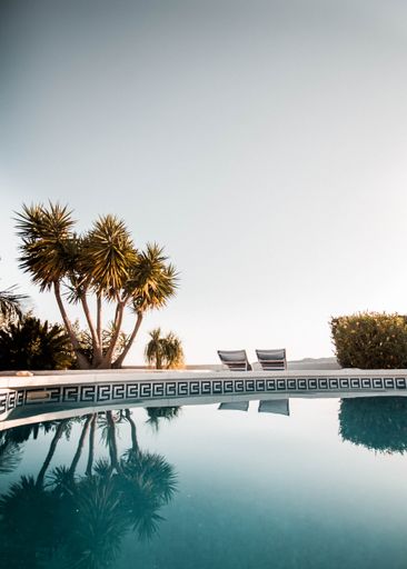 A scenic pool with palm trees in the background
