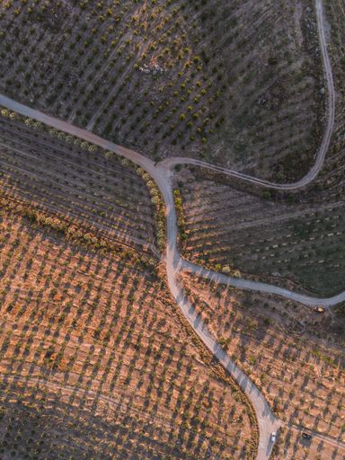 An aerial view from plane showing passes and roads down as a mesh and vet shape