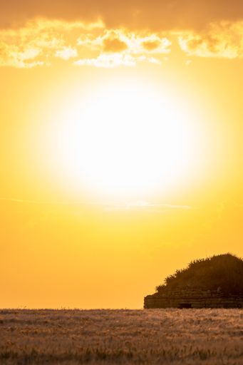 A shot of a stone hut in a golden field of ripe cereal during sunset