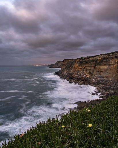 A vertical shot of green grass on the rocks on the body of the ocean on a gloomy day
