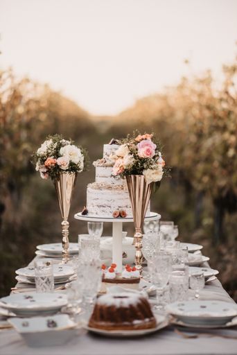 photographs of catering and decoration in nature.