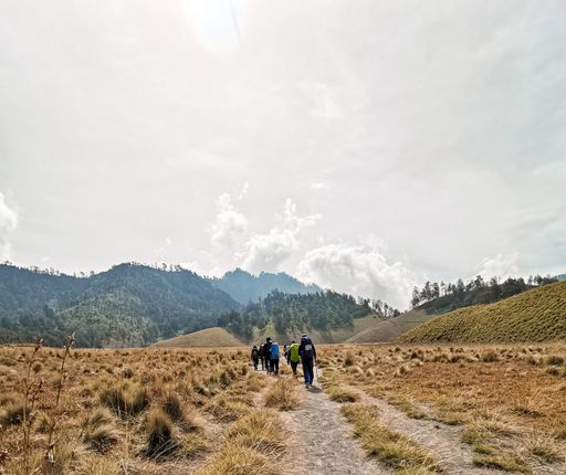 A group of hikers walking in an open field under a cloudy sky