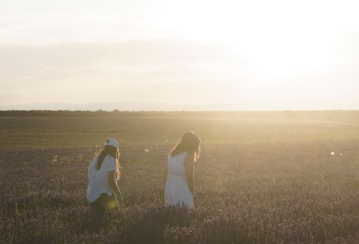 2 women walk in a lavender field, bathed in the bright sunshine that casts a warm glow over the landscape.