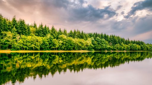 A landscape of a lake surrounded by forests under the sunlight and a cloudy sky