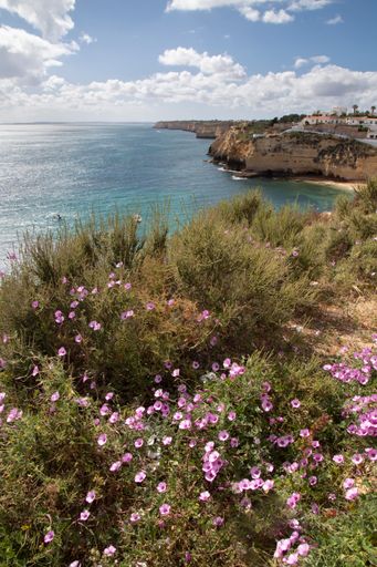 A scenic view of a rocky coast of Algarve in Portugal