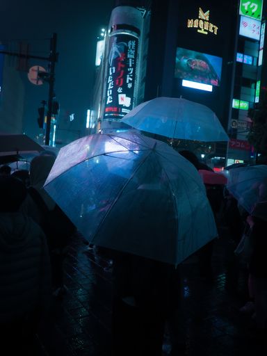 The crowd with umbrellas on Tokyo street at night