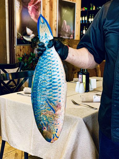 A vertical closeup shot of a male chef's hand holding a blue large fish at a fancy restaurant