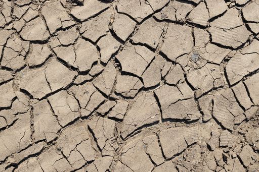 Dried earth soil abstract background texture. Top view