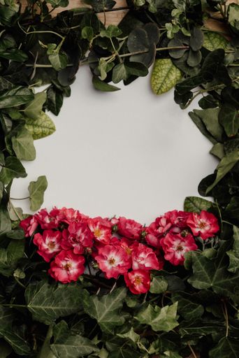 a frame composed of natural sheets for a photograph or text