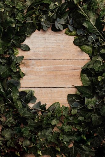 a frame composed of natural sheets for a photograph or text