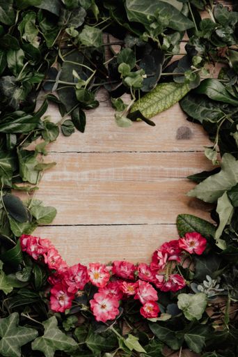 a frame composed of natural sheets for a photograph or text