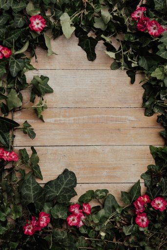 a frame composed of natural sheets for a photograph or text