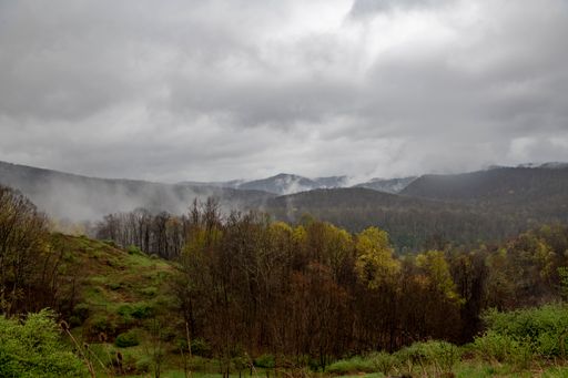 A mesmerizing view of West Virginia mountains with patchy fog