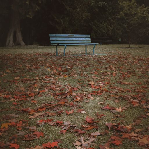 A closeup shot of a bench in a park