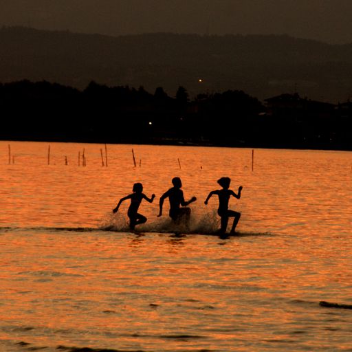 A cluster of individuals swimming at dusk by the sea with rippling waves