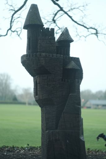 Moss-covered tree trunk transformed into log castle