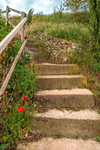 A vertical shot of stone steps in a field covered in wild poppies and grass under a cloudy sky