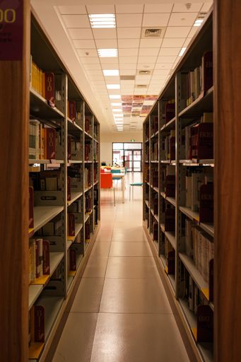 A vertical shot of books on bookshelves in the library