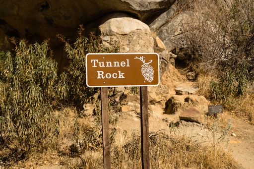 a brown signpost with writing 'Tunnel Rock' in a park