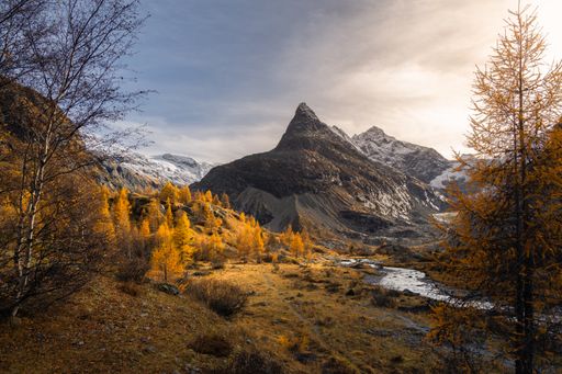 Landscape view of the valley of Ferpecle and Mont Mine mountain in autumn at golden hour, with a river surrounded by golden illuminated larches