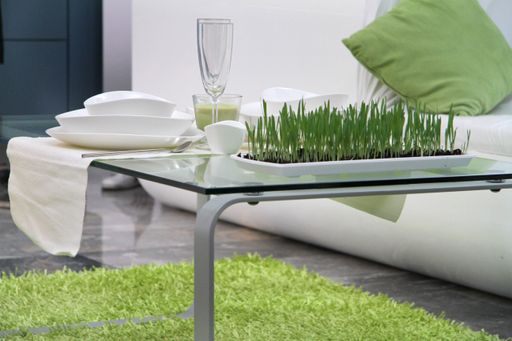 A closeup shot of a small glass table with dishes and green grass growing in a small white plate