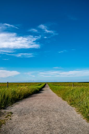A vertical road of a walkway passing through the green field.